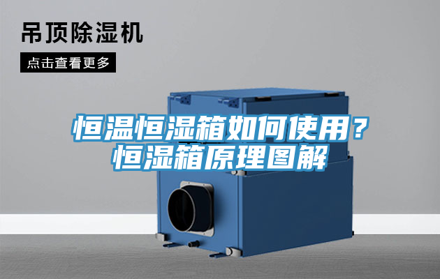 恒溫恒濕箱如何使用？恒濕箱原理圖解
