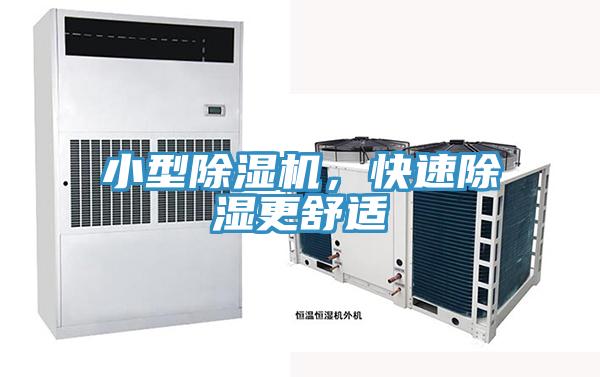 小型草莓污视频在线看，快速除濕更舒適