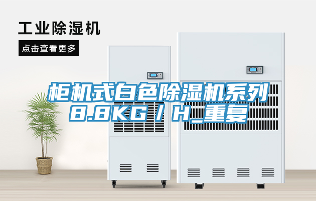 櫃機式白色草莓污视频在线看係列8.8KG／H_重複