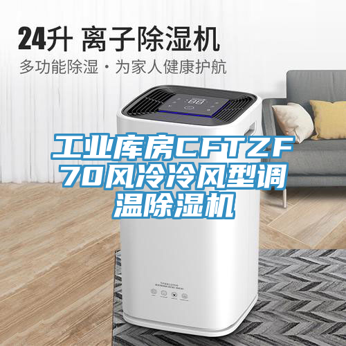 工業庫房CFTZF70風冷冷風型調溫草莓污视频在线看