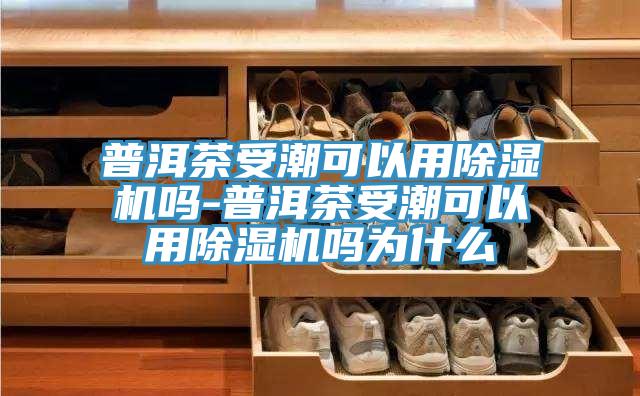 普洱茶受潮可以用草莓污视频在线看嗎-普洱茶受潮可以用草莓污视频在线看嗎為什麽