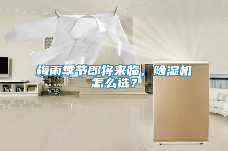 梅雨季節即將來臨，草莓污视频在线看怎麽選？