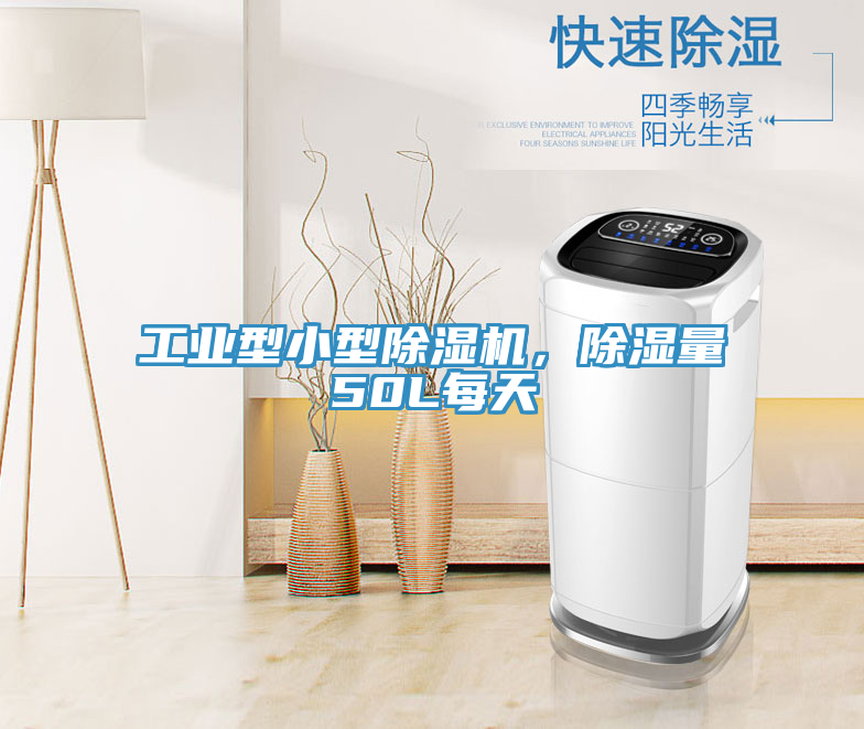 工業型小型草莓污视频在线看，除濕量50L每天