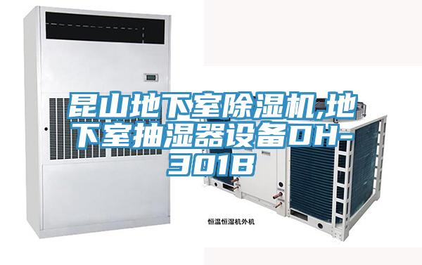 昆山地下室草莓污视频在线看,地下室抽濕器設備DH-301B