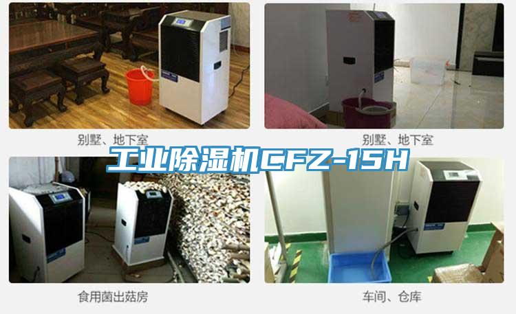 工業草莓污视频在线看CFZ-15H