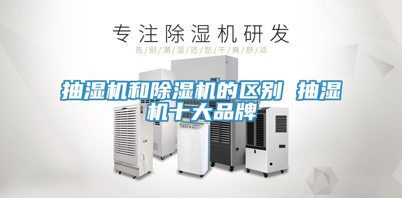 抽濕機和草莓污视频在线看的區別 抽濕機十大品牌