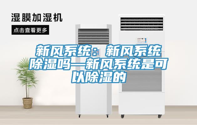 新風係統：新風係統除濕嗎—新風係統是可以除濕的