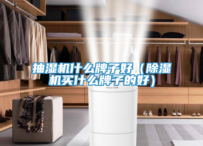 抽濕機什麽牌子好（草莓污视频在线看買什麽牌子的好）
