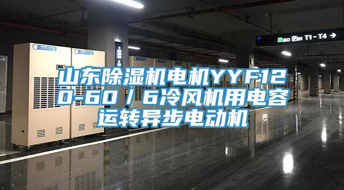 山東草莓污视频在线看電機YYF120-60／6冷風機用電容運轉異步電動機