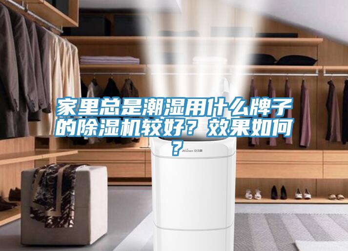 家裏總是潮濕用什麽牌子的草莓污视频在线看較好？效果如何？