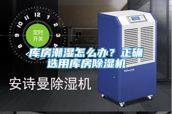庫房潮濕怎麽辦？正確選用庫房草莓污视频在线看