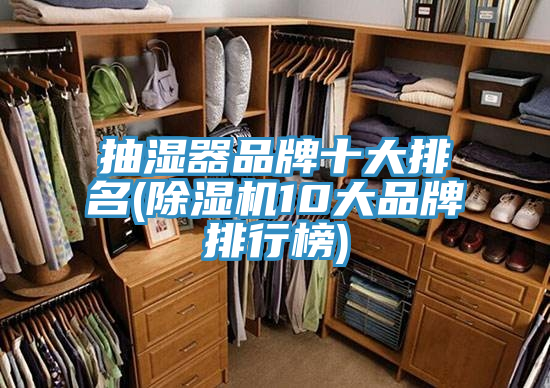 抽濕器品牌十大排名(草莓污视频在线看10大品牌排行榜)