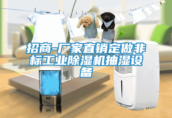 招商-廠家直銷定做非標工業草莓污视频在线看抽濕設備