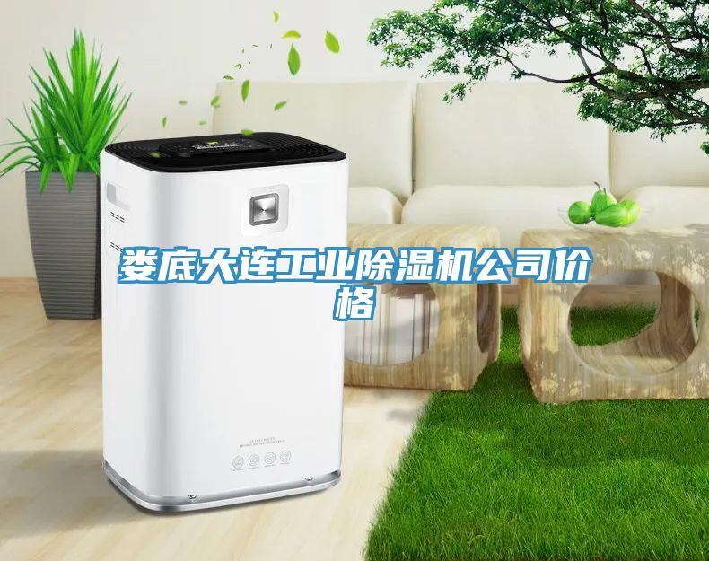 婁底大連工業草莓污视频在线看公司價格