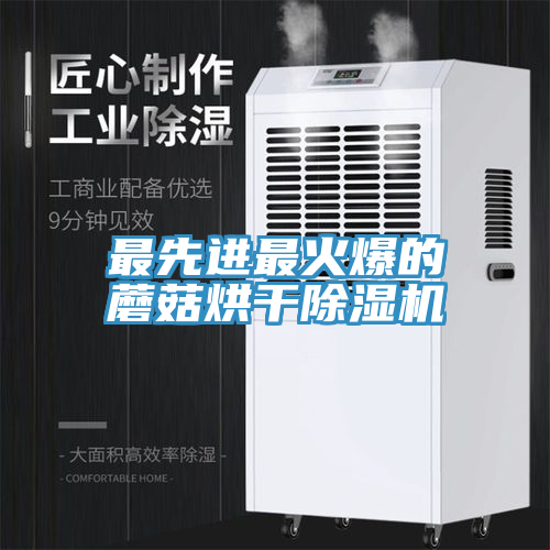 最先進最火爆的蘑菇烘幹草莓污视频在线看