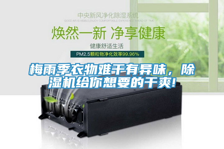 梅雨季衣物難幹有異味，草莓污视频在线看給你想要的幹爽!