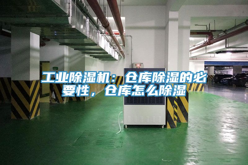 工業草莓污视频在线看：倉庫除濕的必要性，倉庫怎麽除濕