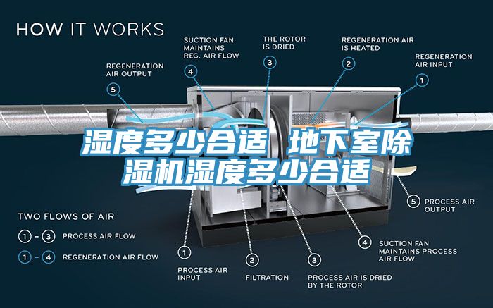 濕度多少合適 地下室草莓污视频在线看濕度多少合適