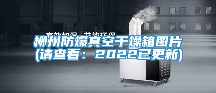 柳州防爆真空幹燥箱圖片(請查看：2022已更新)