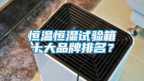 恒溫恒濕試驗箱十大品牌排名？