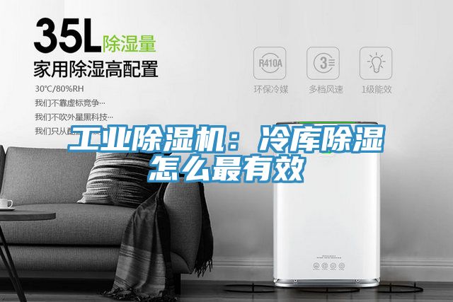 工業草莓污视频在线看：冷庫除濕怎麽最有效