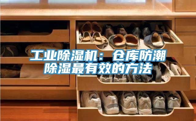 工業草莓污视频在线看：倉庫防潮除濕最有效的方法