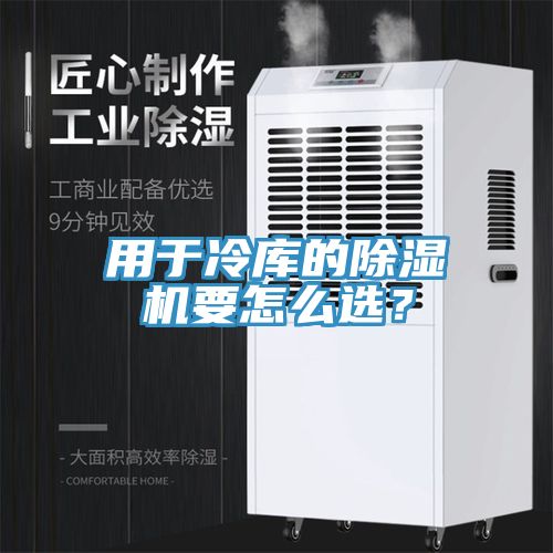 用於冷庫的草莓污视频在线看要怎麽選？