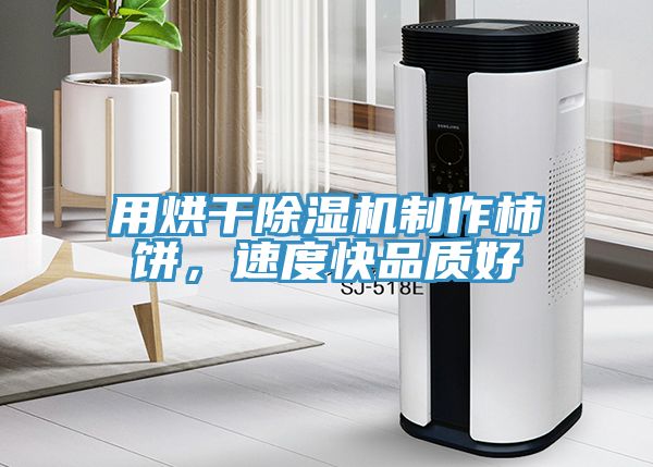 用烘幹草莓污视频在线看製作柿餅，速度快品質好