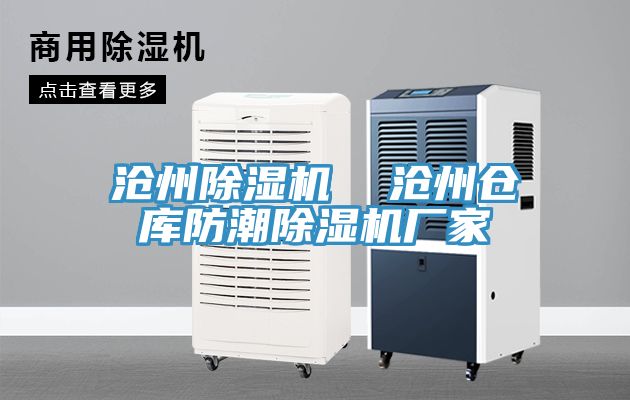 滄州草莓污视频在线看  滄州倉庫防潮草莓污视频在线看廠家