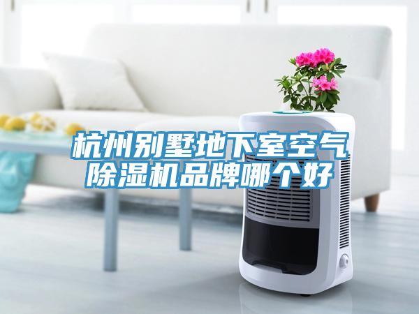 杭州別墅地下室空氣草莓污视频在线看品牌哪個好