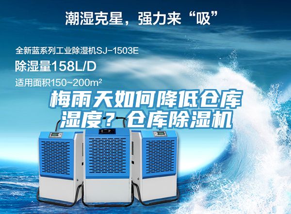 梅雨天如何降低倉庫濕度？倉庫草莓污视频在线看