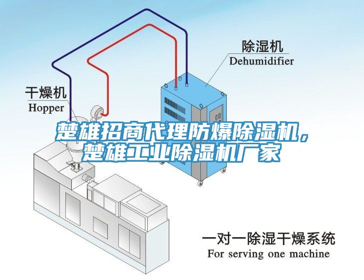 楚雄招商代理防爆草莓污视频在线看，楚雄工業草莓污视频在线看廠家