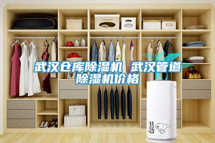 武漢倉庫草莓污视频在线看 武漢管道草莓污视频在线看價格