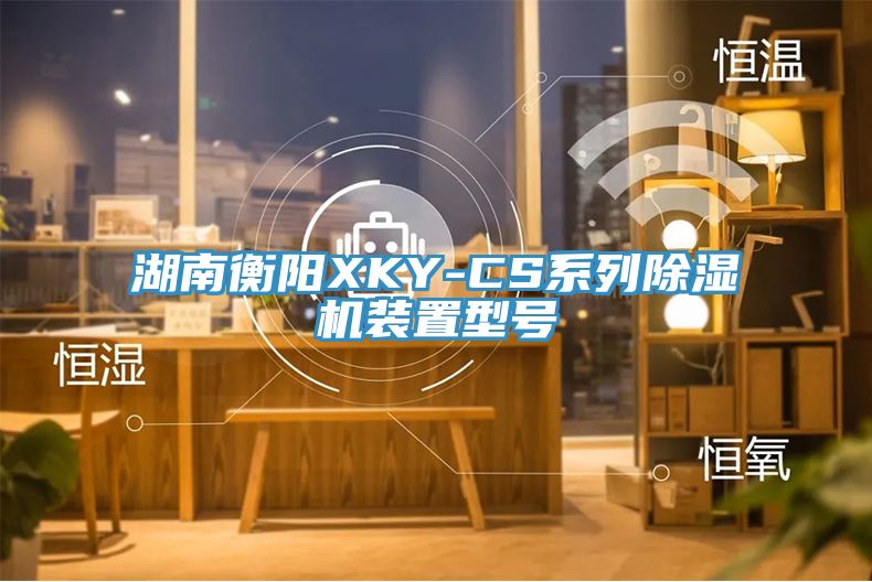 湖南衡陽XKY-CS係列草莓污视频在线看裝置型號