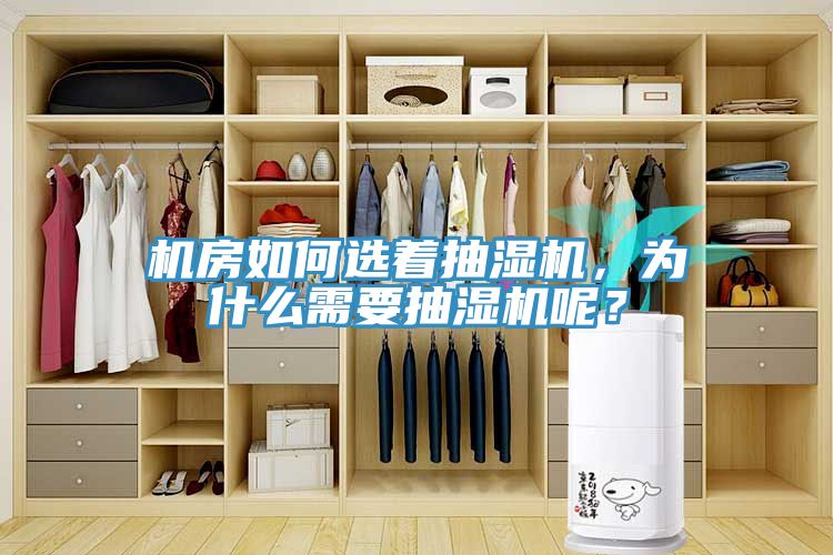 機房如何選著抽濕機，為什麽需要抽濕機呢？