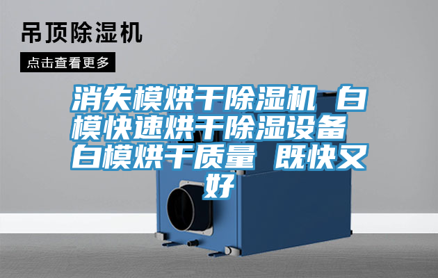 消失模烘幹草莓污视频在线看 白模快速烘幹除濕設備 白模烘幹質量 既快又好