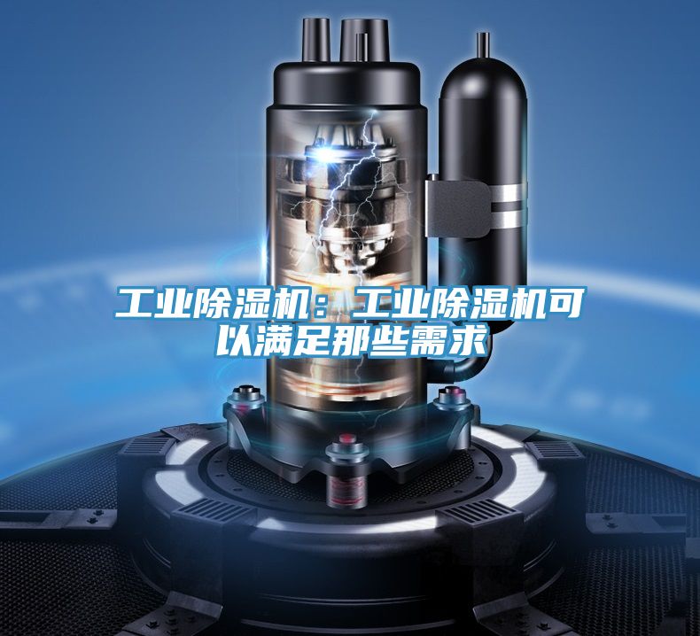 工業草莓污视频在线看：工業草莓污视频在线看可以滿足那些需求