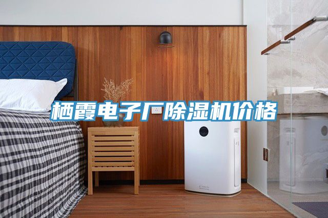棲霞電子廠草莓污视频在线看價格