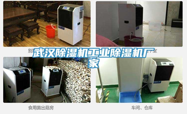 武漢草莓污视频在线看工業草莓污视频在线看廠家