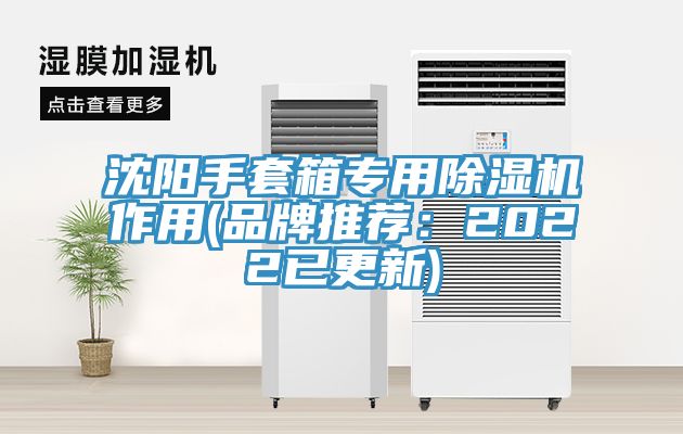 沈陽手套箱專用草莓污视频在线看作用(品牌推薦：2022已更新)