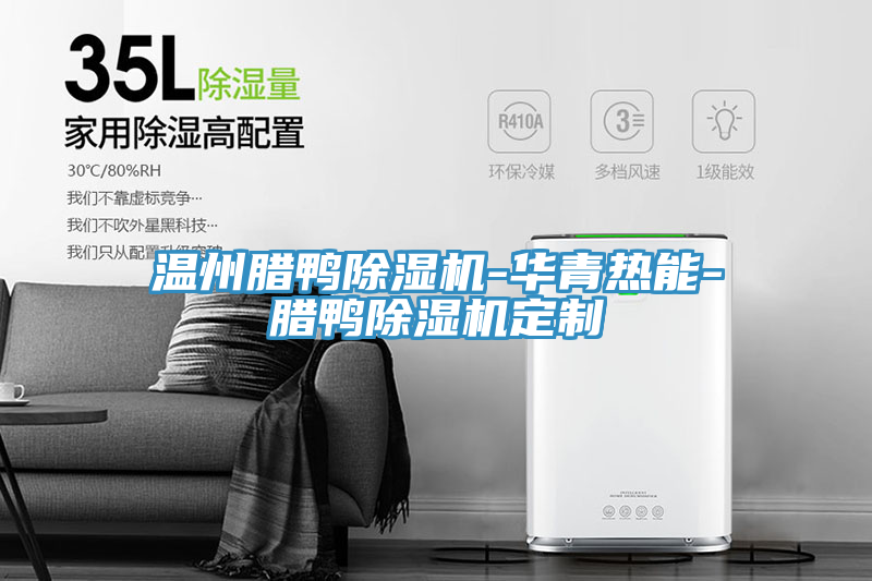 溫州臘鴨草莓污视频在线看-華青熱能-臘鴨草莓污视频在线看定製