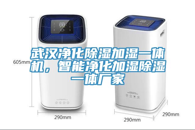 武漢淨化除濕加濕一體機，智能淨化加濕除濕一體廠家