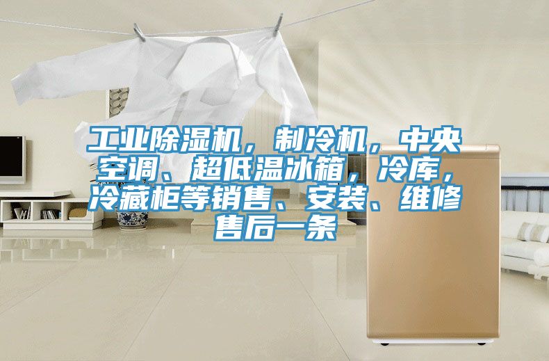 工業草莓污视频在线看，製冷機，中央空調、超低溫冰箱，冷庫，冷藏櫃等銷售、安裝、維修售後一條
