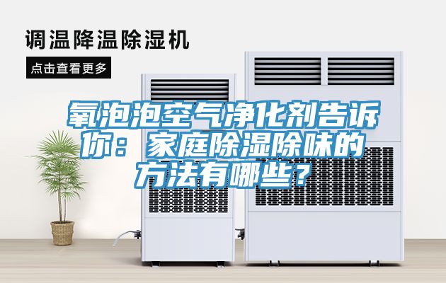 氧泡泡空氣淨化劑告訴你：家庭除濕除味的方法有哪些？