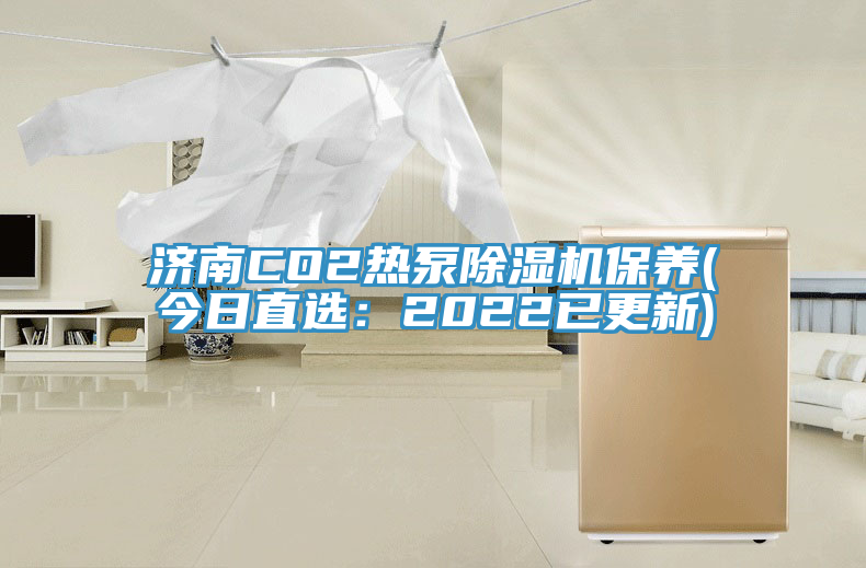 濟南CO2熱泵草莓污视频在线看保養(今日直選：2022已更新)