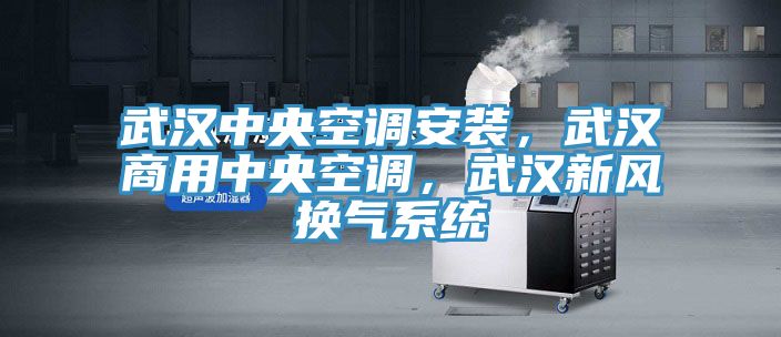武漢中央空調安裝，武漢商用中央空調，武漢新風換氣係統