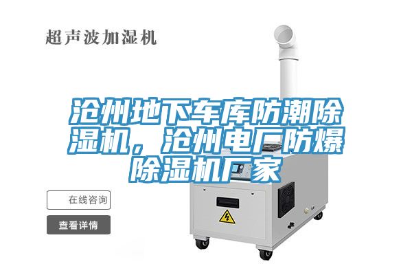滄州地下車庫防潮草莓污视频在线看，滄州電廠防爆草莓污视频在线看廠家
