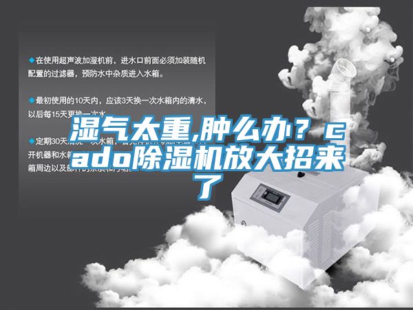 濕氣太重,腫麽辦？cado草莓污视频在线看放大招來了