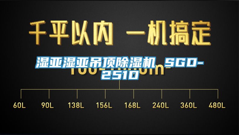 濕亞濕亞吊頂草莓污视频在线看 SGD-251D