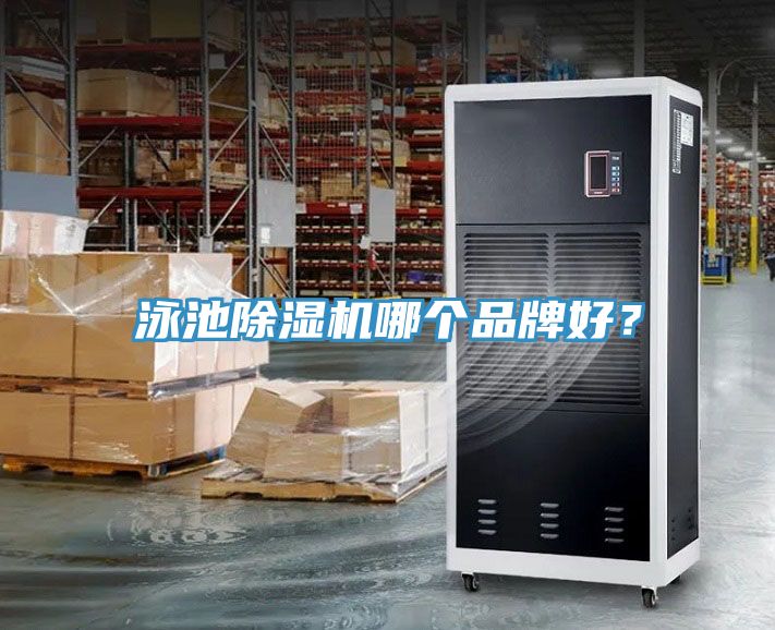 泳池草莓污视频在线看哪個品牌好？